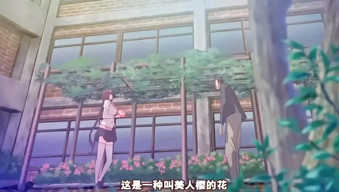 《龙堂寺士门的阴谋》未删减版在哪看？《龙堂寺士门的阴谋》高清全集资源如何获取？